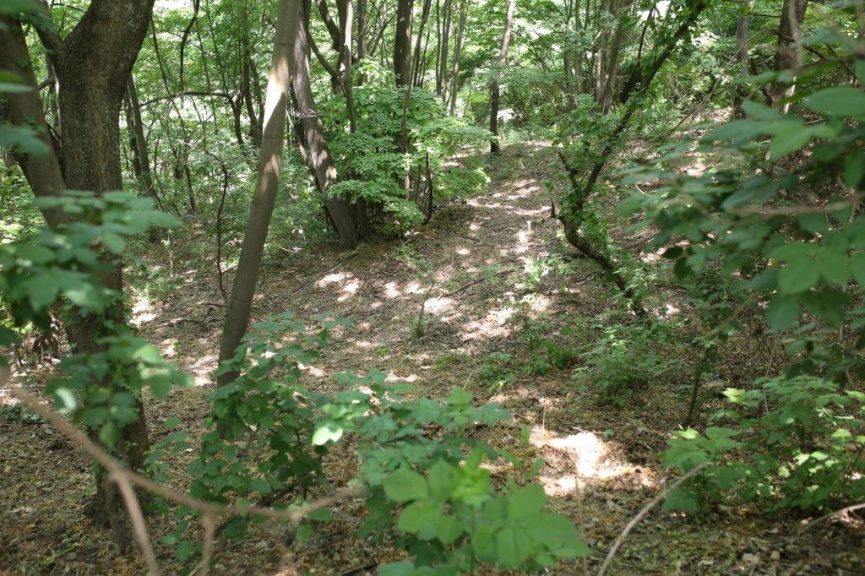 Cisto-iz-ljubavi-Cepom-do-osmeha-Valjevo-25