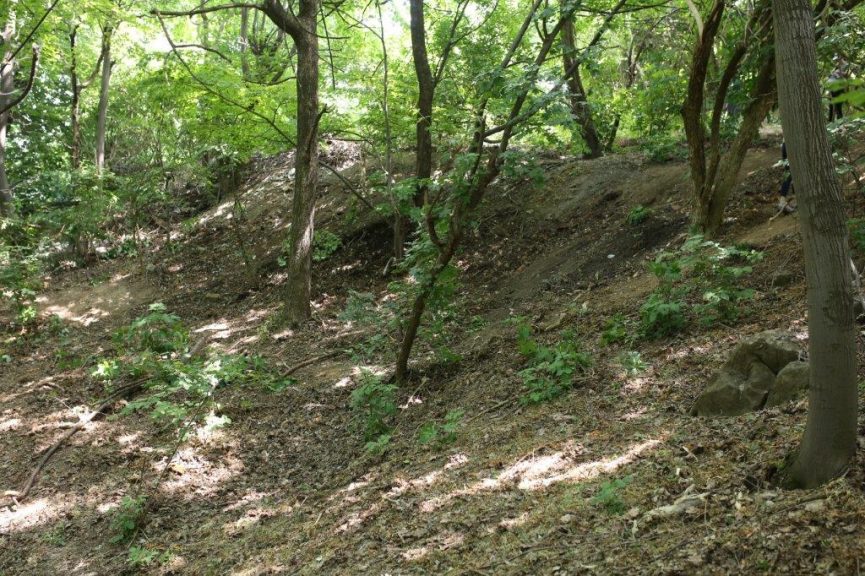 Cisto-iz-ljubavi-Cepom-do-osmeha-Valjevo-26