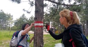 PSD-Magles-Valjevo-Planinari-14