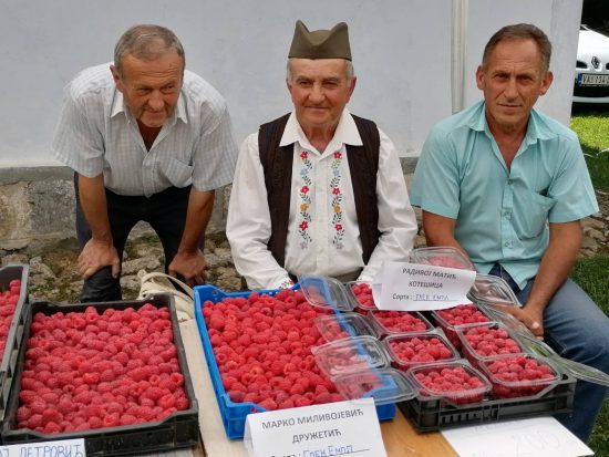 Dani-maline-Brankovina-Valjevo-11