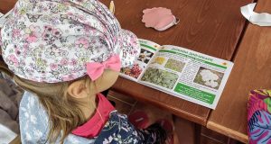 IMG_20220617_105330