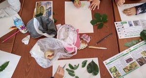 IMG_20220617_113752