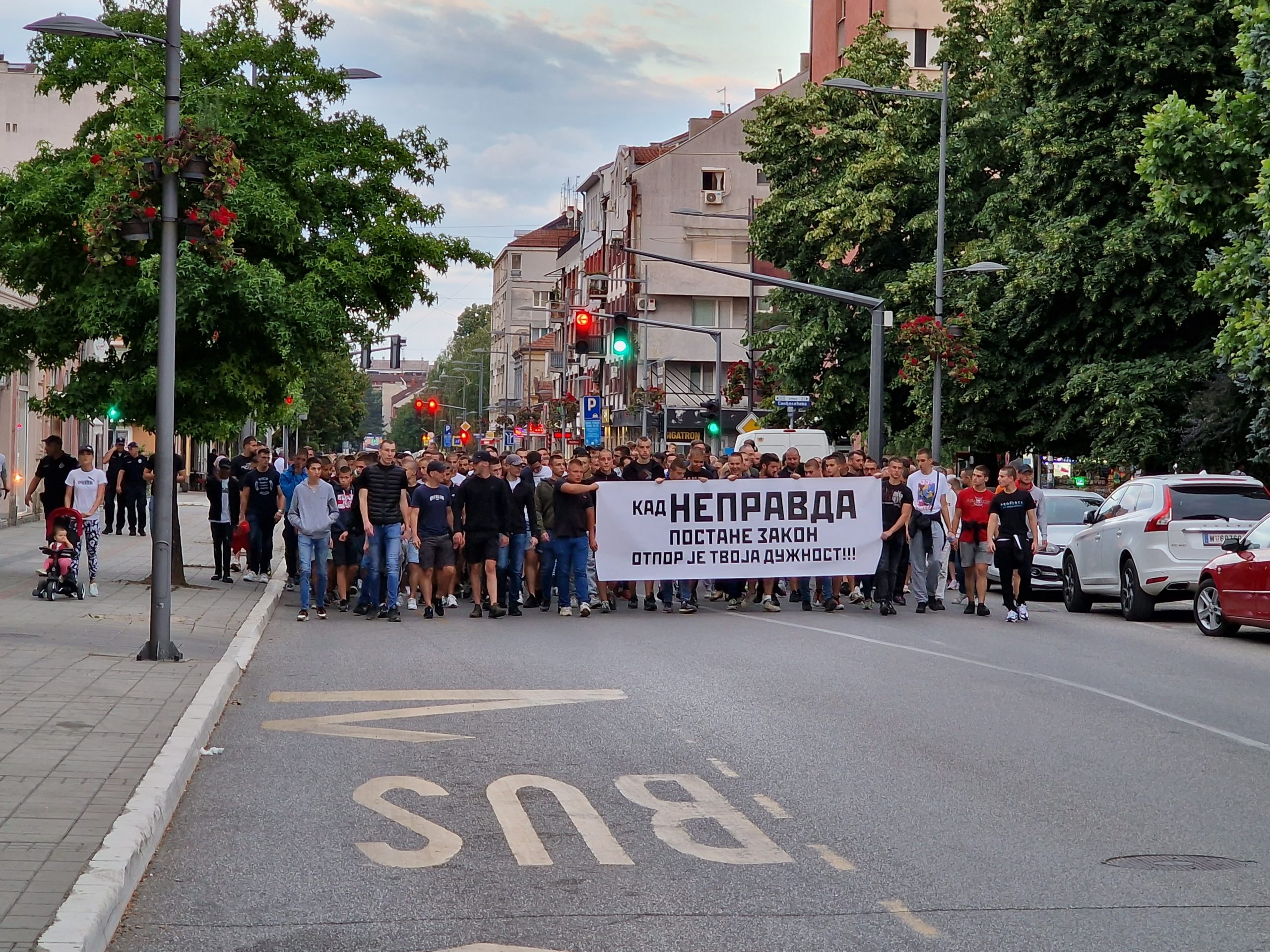 SETNJA-Damjan-Dragojlovic-2