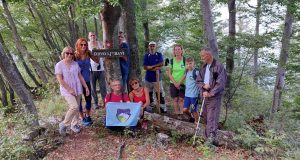 medvednik-drvo-ljubavi