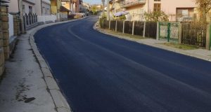 Milivoja-Radosavljevica2