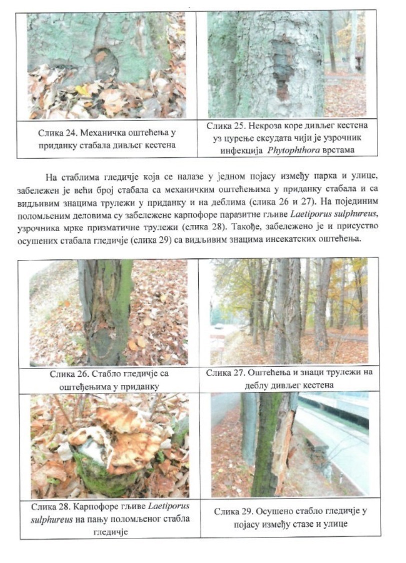 Agrorazvoj-Bolesti-stabala-1