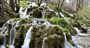 IMG-26d02078b36c6723100ec853bbbbd156-V