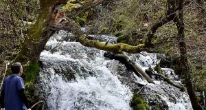 IMG-adf76643d0438e1e4ef3decd70390210-V