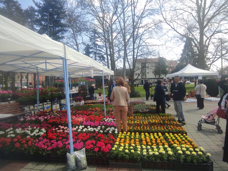 Valjevo-Cvece-park-jadar-1