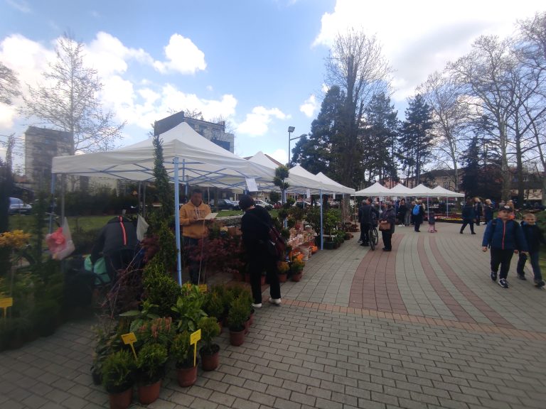 Valjevo-Cvece-park-jadar-2