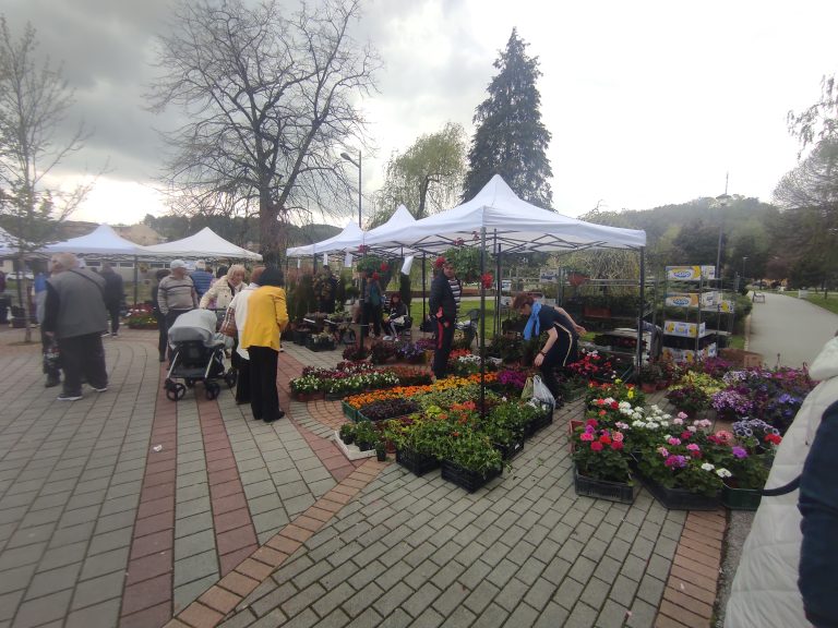 Valjevo-Cvece-park-jadar-3 Valjevo-Cvece-park-jadar-3