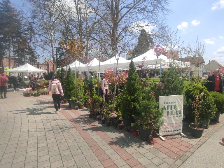 Valjevo-Cvece-park-jadar-6