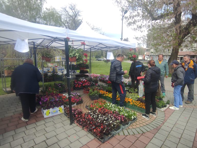 Valjevo-Cvece-park-jadar-7