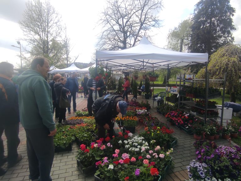 Valjevo-Cvece-park-jadar-8