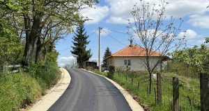 Brangovic2