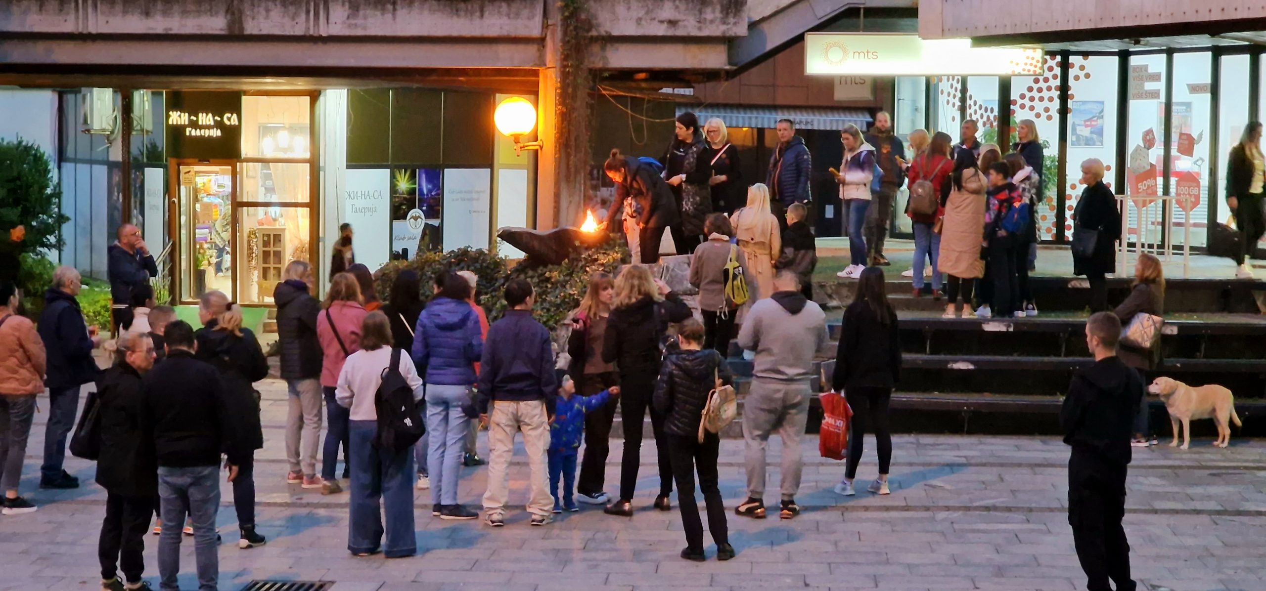 Paljenje sveća Ubistvo OŠ Vladislav Ribnikar