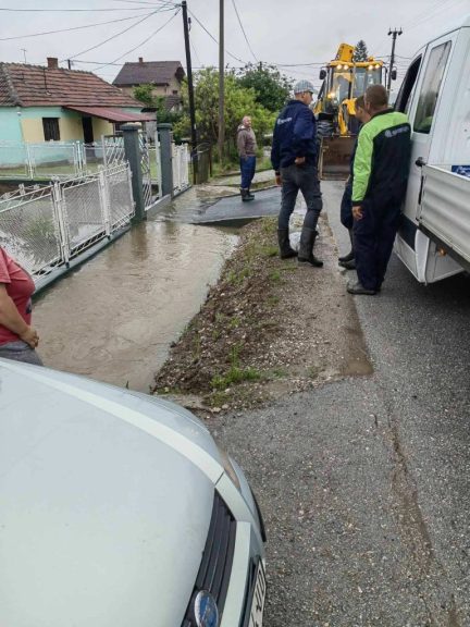Beloševac 5