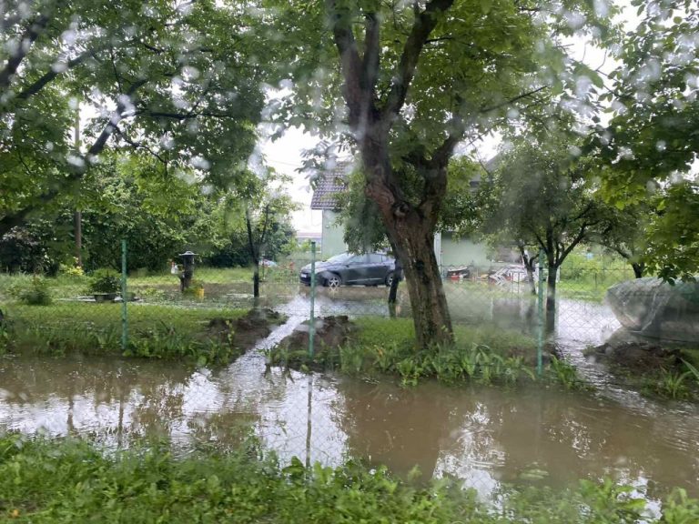 Beloševac 6