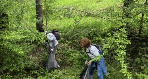 IMG_20230603_113026-scaled
