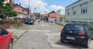Dr Pitovica3
