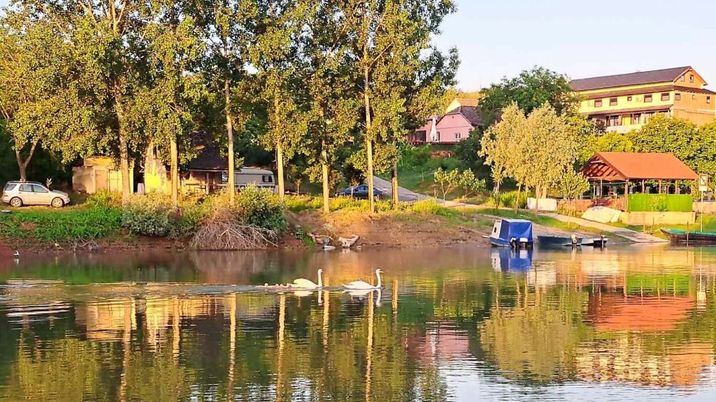 Labudovi - Krčedinska ada Widescreen