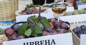 IMG_20230809_181957