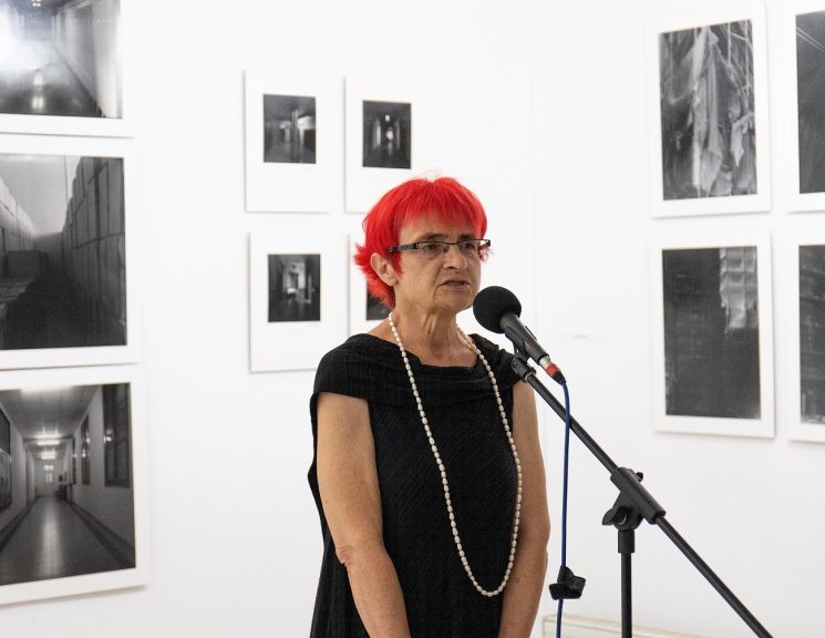 Mirjana Voji Mirjana Voji