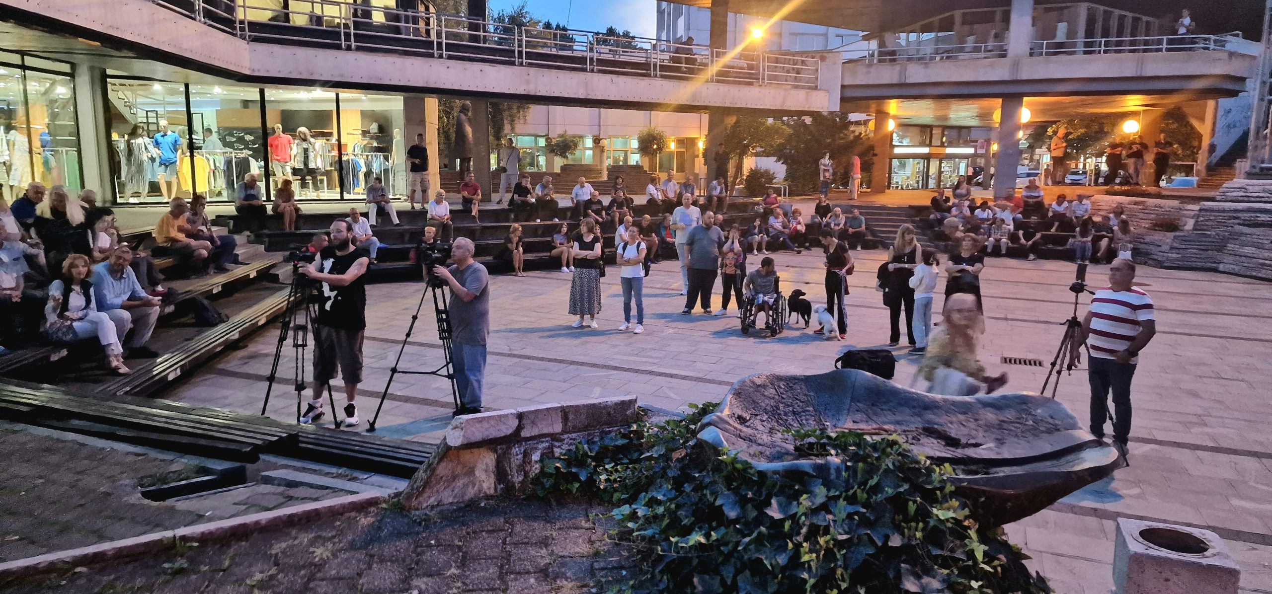 Poslednji protest Valjevo protiv nasilja (4)