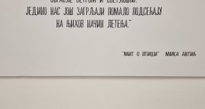 Tijana Marić - Izložba Moja teritorija