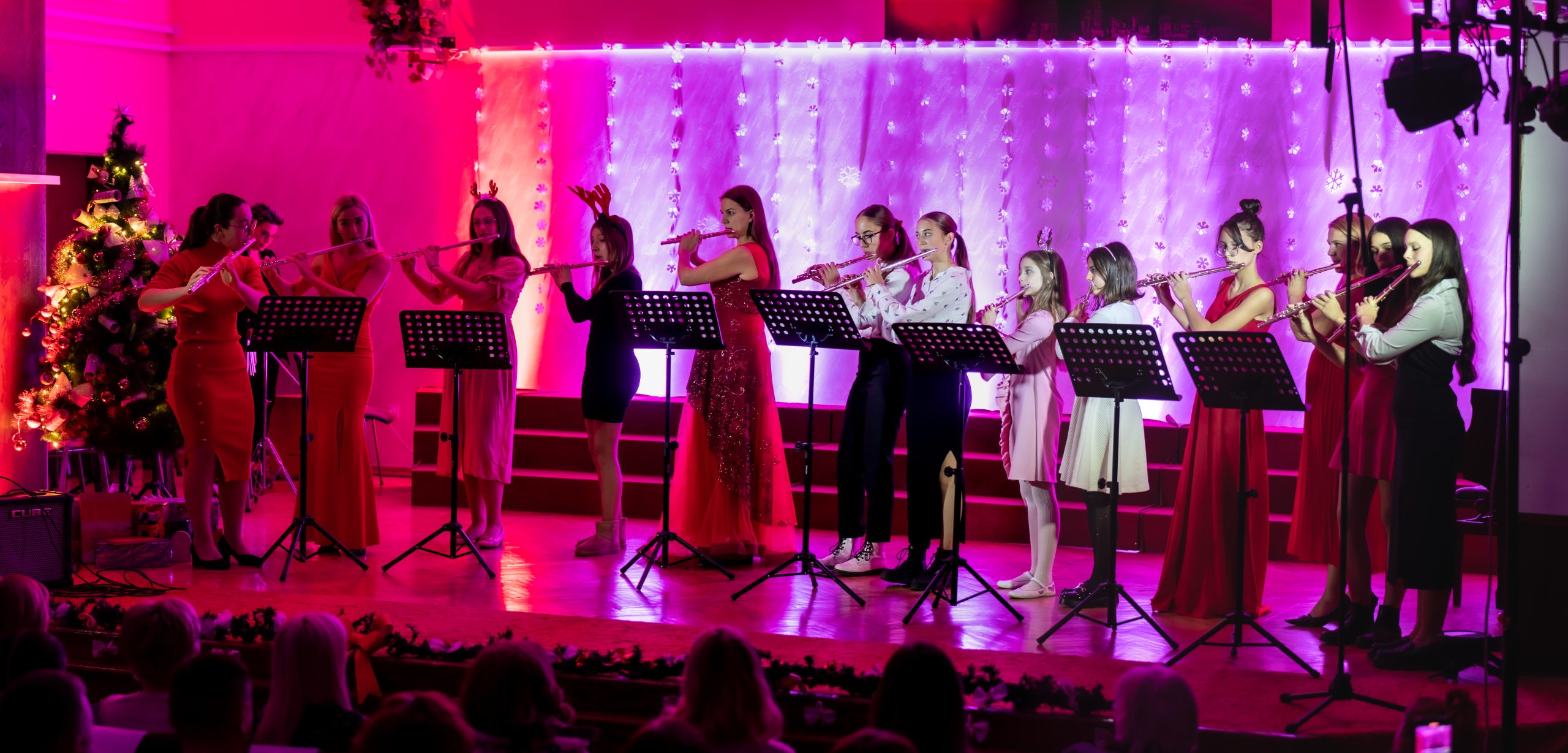 DSC02800 DSC02800