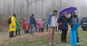 IMG_20240421_105203