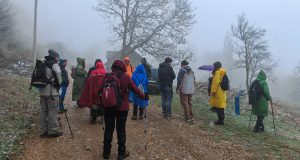IMG_20240421_105236