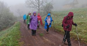 IMG_20240421_110337