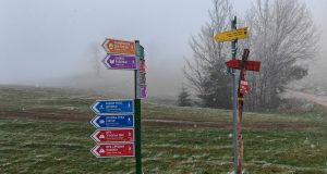 IMG_20240421_111702