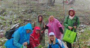 IMG_20240421_114522