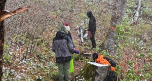 IMG_20240421_115411