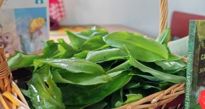 IMG_20240421_125032
