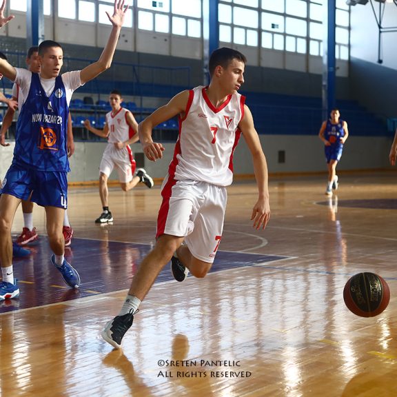 ALEKSANDAR MILIĆEVIĆ ALEKSANDAR MILIĆEVIĆ