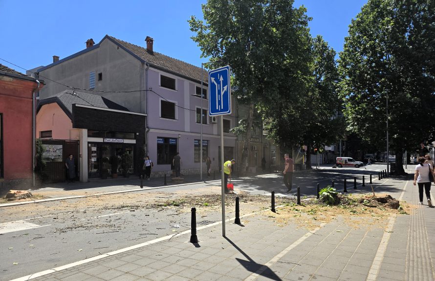 Platani - Seča - Ulica Vuka Karadžića Platani - Seča - Ulica Vuka Karadžića