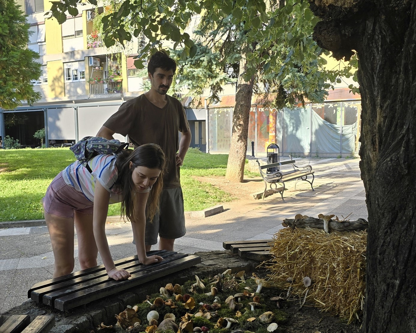 Gastro fest - Dani gljiva i lekovitog bilja - Valjevo (25)