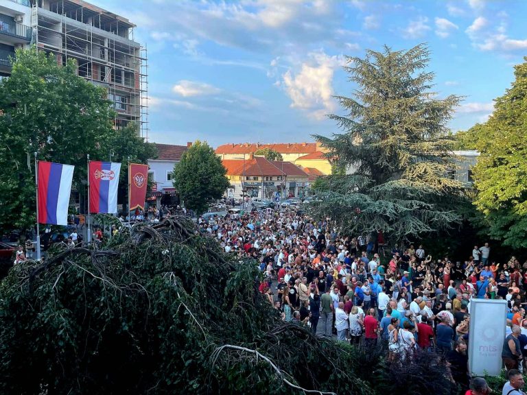 Protest Valjevo Litijum 2 Protest Valjevo Litijum 2