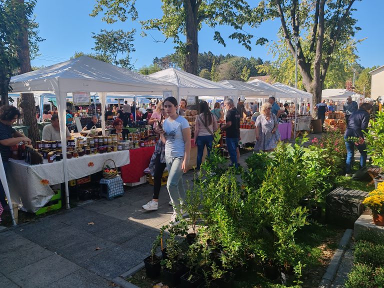 Valjevo Koceljeva Festival zimnice (2)