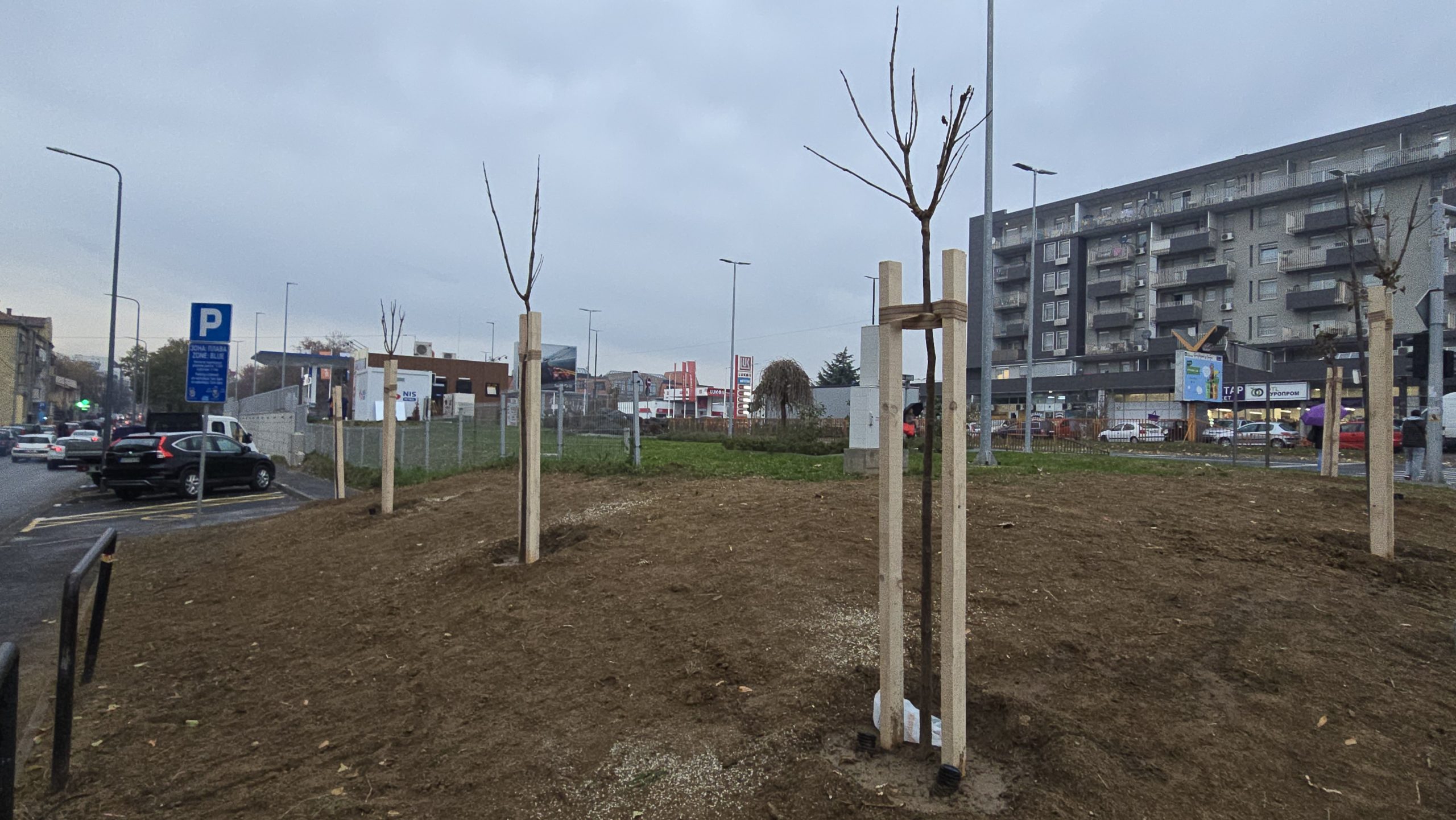 Jesenja sadnja - JKP Vidrak (5)