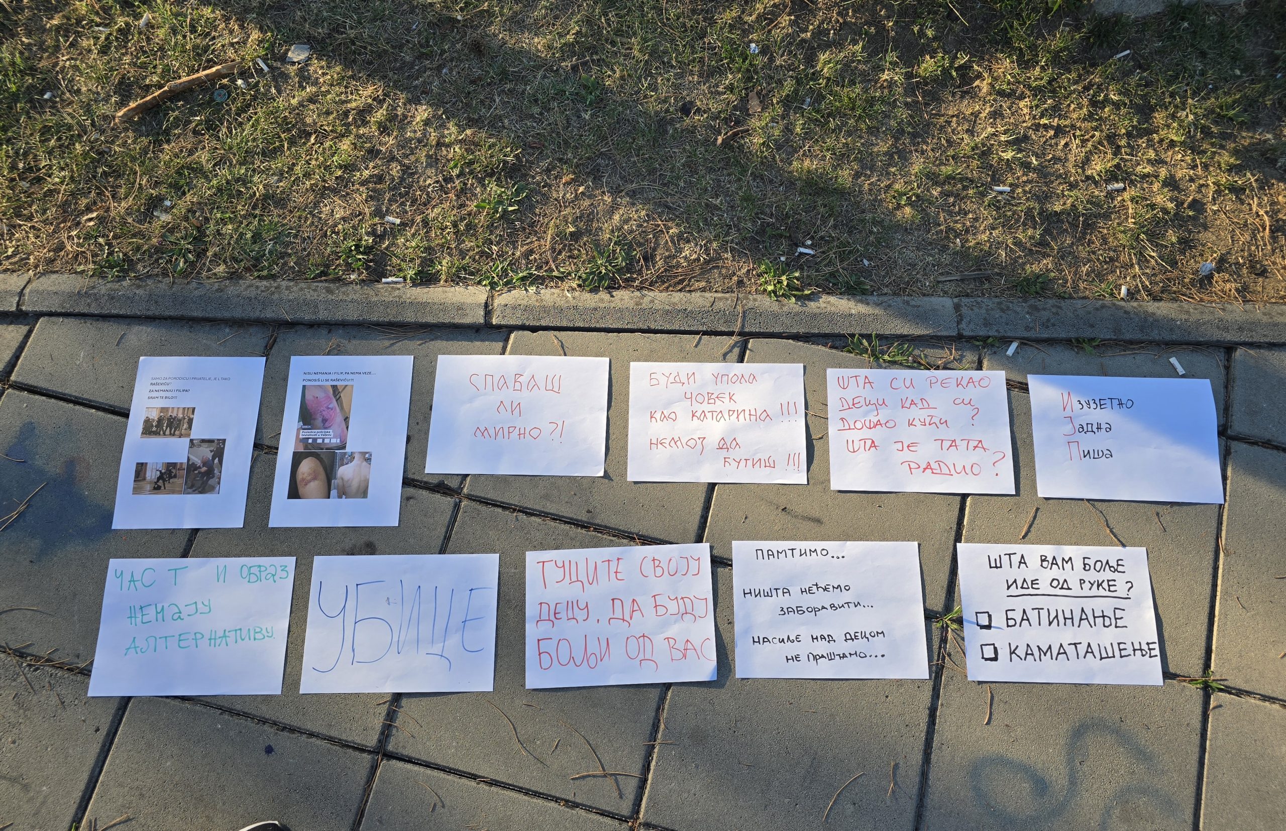 Zbor MZ Krušik poruke za inspektora Raševića (4) Zbor MZ Krušik poruke za inspektora Raševića (4)