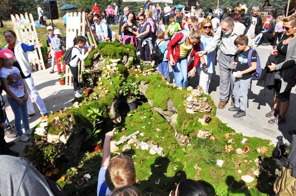 Dani gljiva na Divčibarama Iz arhive Gljivarskog društva Valjevo (5)