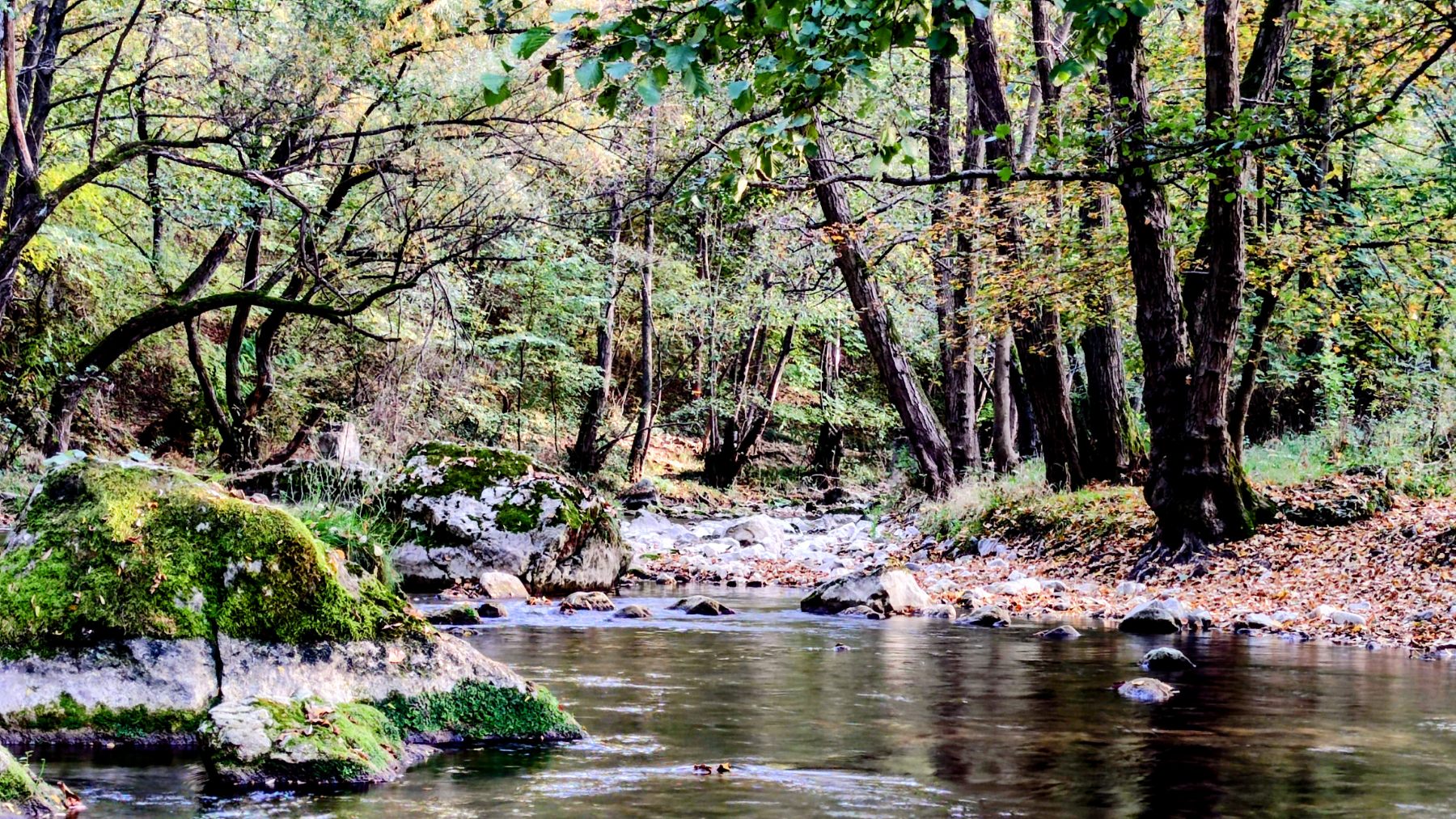 Gradac