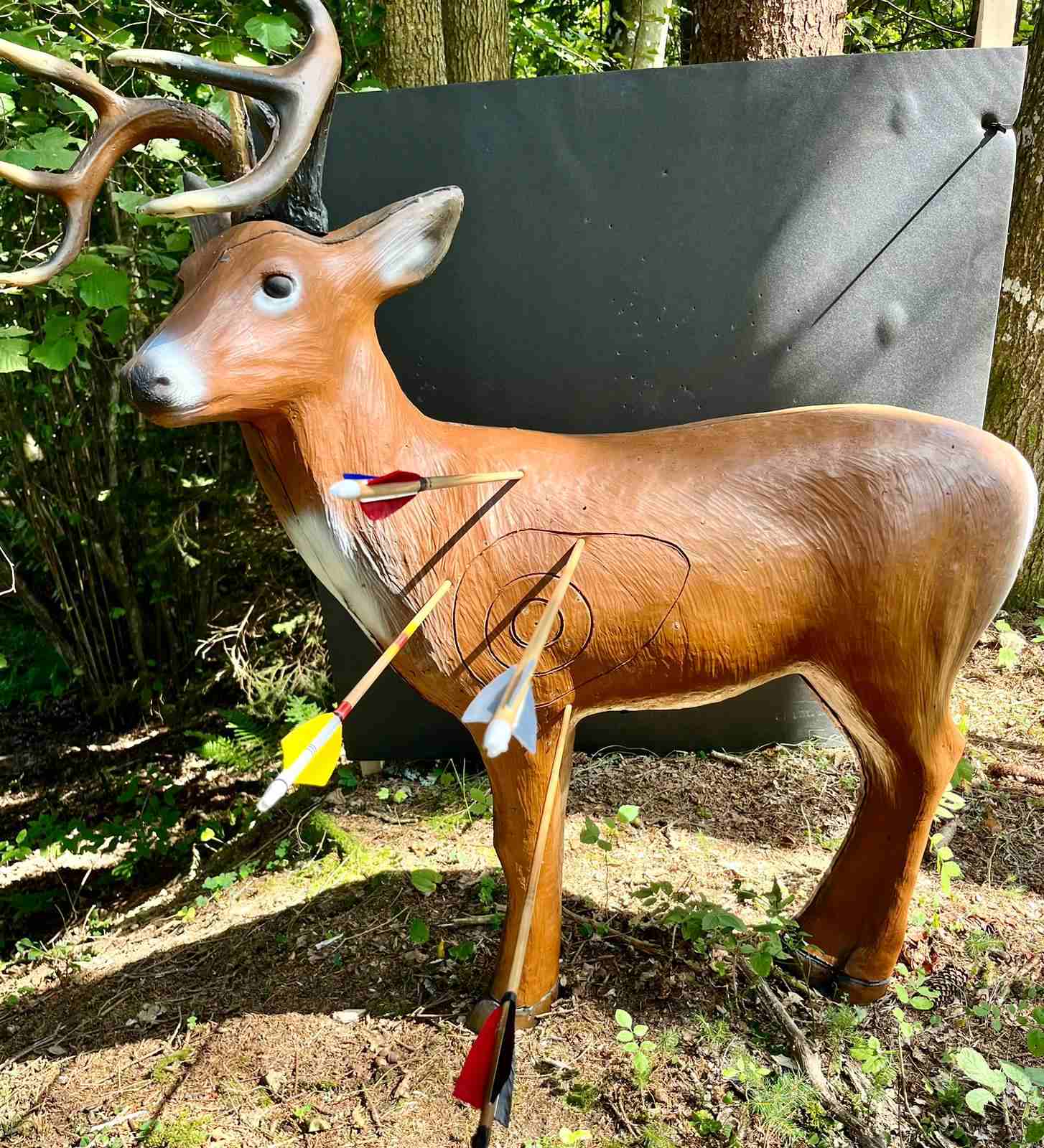 3D streličarstvo (3)