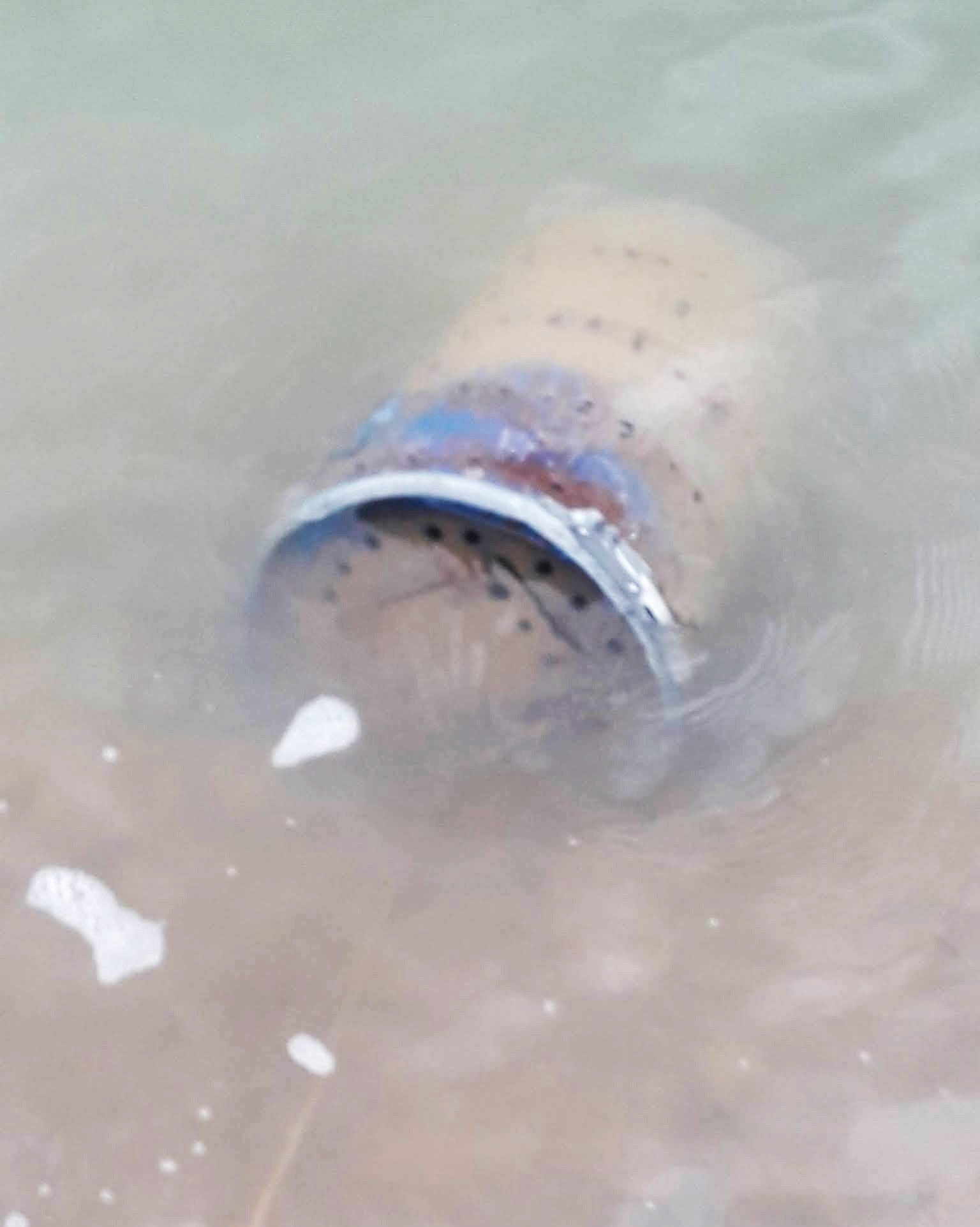 Jezero Stubo Rovni burići sa toksičnim otpadom (3)