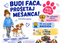Izložba pasa Valjevo