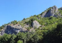 ZABRANJENO LOŽENJE VATRE NA GRADCU DO 15. AVGUSTA – APEL POSETOCIMA DA ČUVAJU PRIRODU Gradac